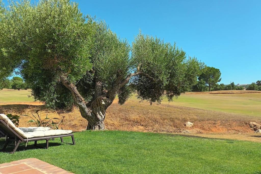 Casa Los Olivos 阿尔科斯-德拉弗龙特拉 外观 照片