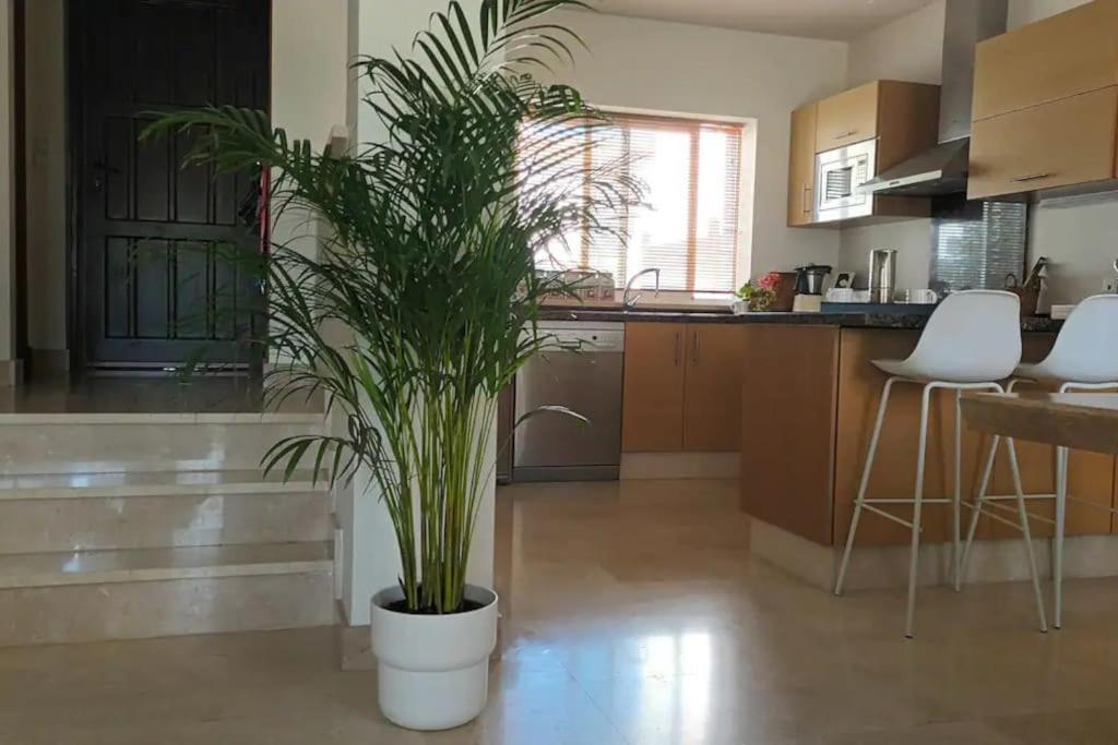 Casa Los Olivos 阿尔科斯-德拉弗龙特拉 外观 照片