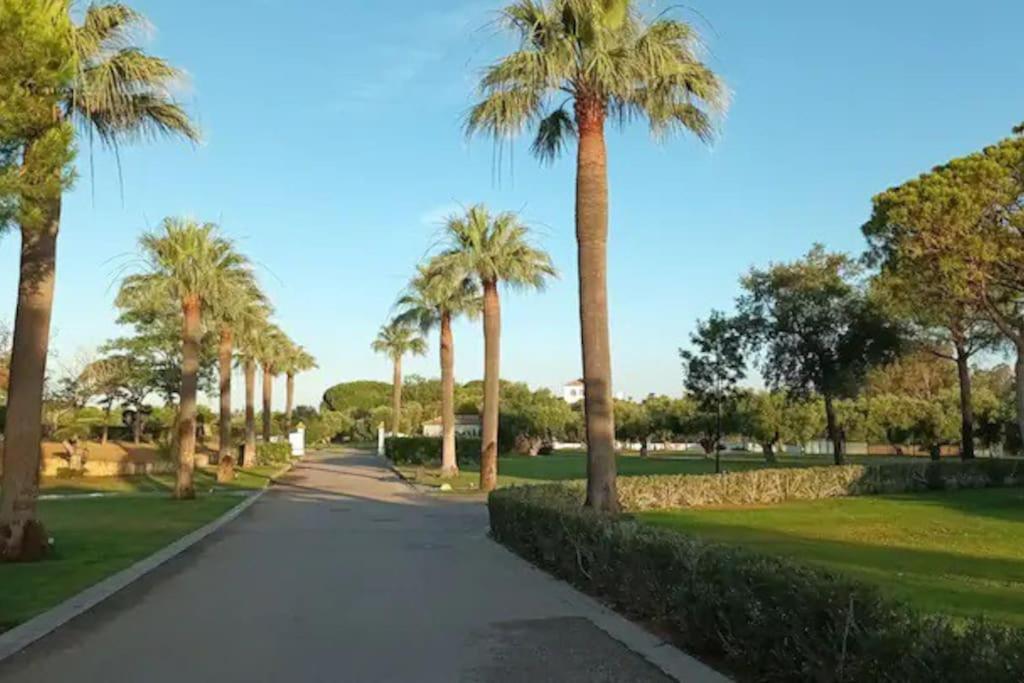 Casa Los Olivos 阿尔科斯-德拉弗龙特拉 外观 照片